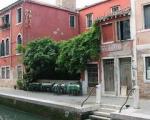 Iris - Venice